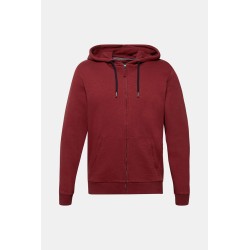 Sweat à capuche 100% coton biologique – Homme – Champion